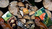 Photo Collage Pancake Recipe Blog Banner-4
