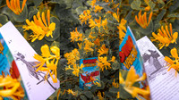 Photo Collage Pancake Recipe Blog Banner-2