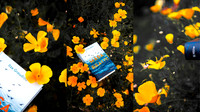 Photo Collage Pancake Recipe Blog Banner