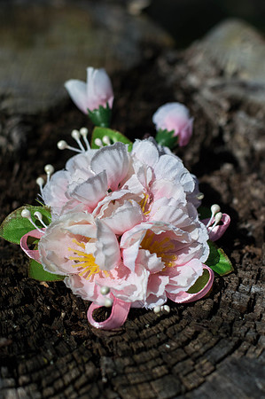 Flower crowns- Arisoul