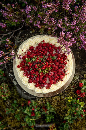 Cake-Laura Nikolovska- "Kūku feja"