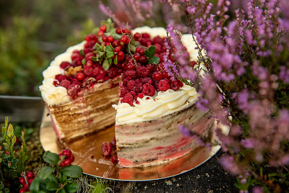 Cake-Laura Nikolovska- "Kūku feja"