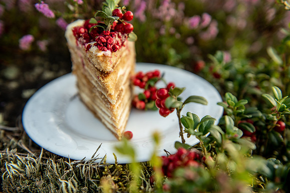Cake-Laura Nikolovska- "Kūku feja"