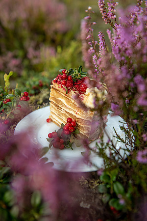 Cake-Laura Nikolovska- "Kūku feja"