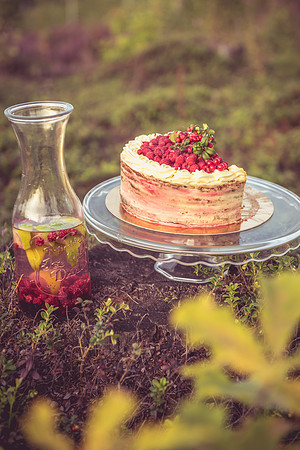 Cake-Laura Nikolovska- "Kūku feja"